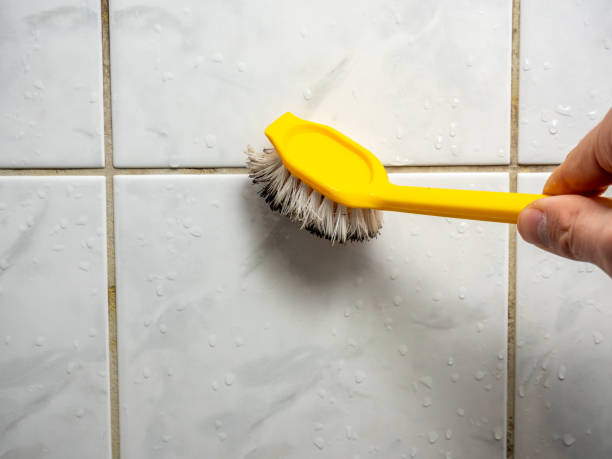 Office Mold Removal Services in Prineville, OR
