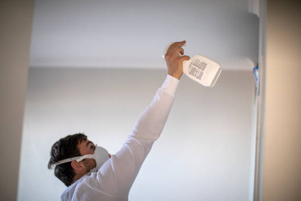 Best Certified Mold Removal  in Prineville, OR