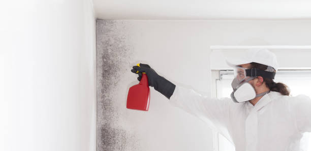 Best Fast Mold Removal  in Prineville, OR
