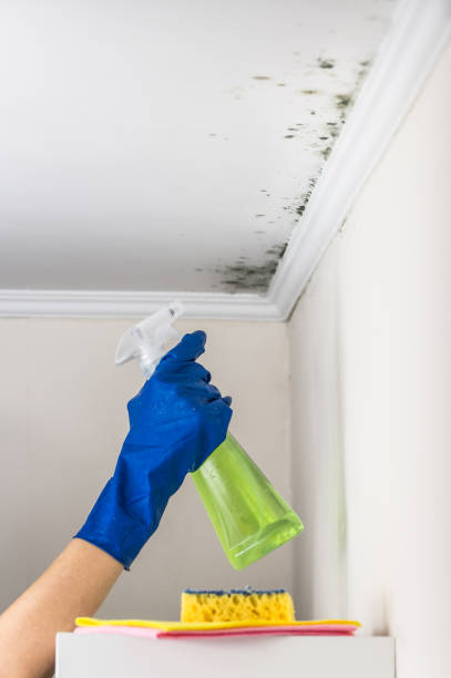 Best Crawl Space Mold Removal  in Prineville, OR